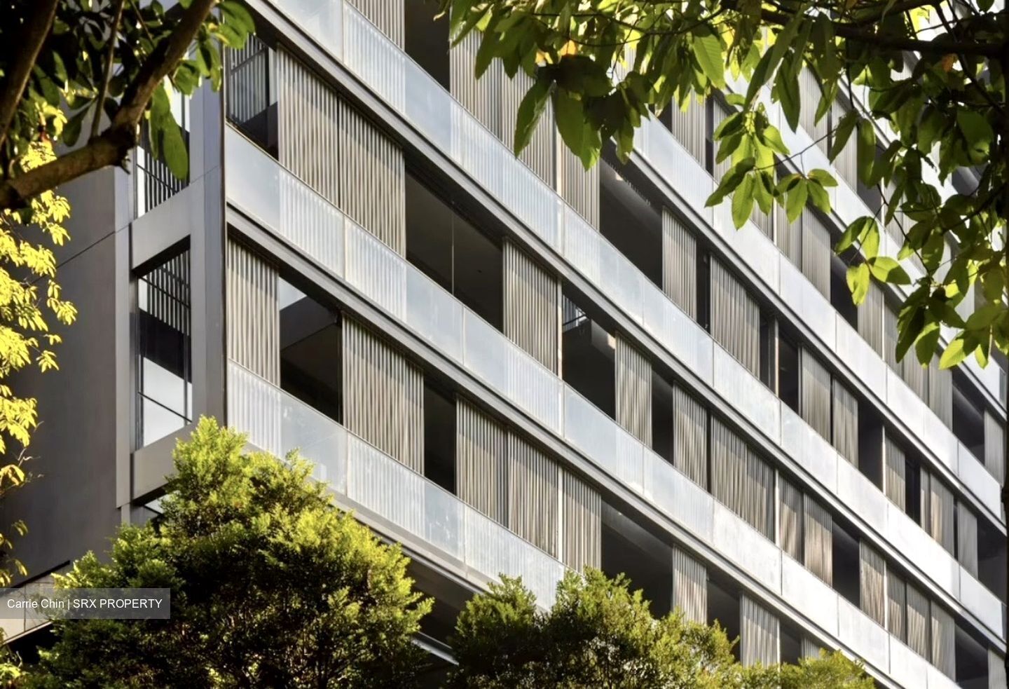 19 Nassim (D10), Apartment #440012751